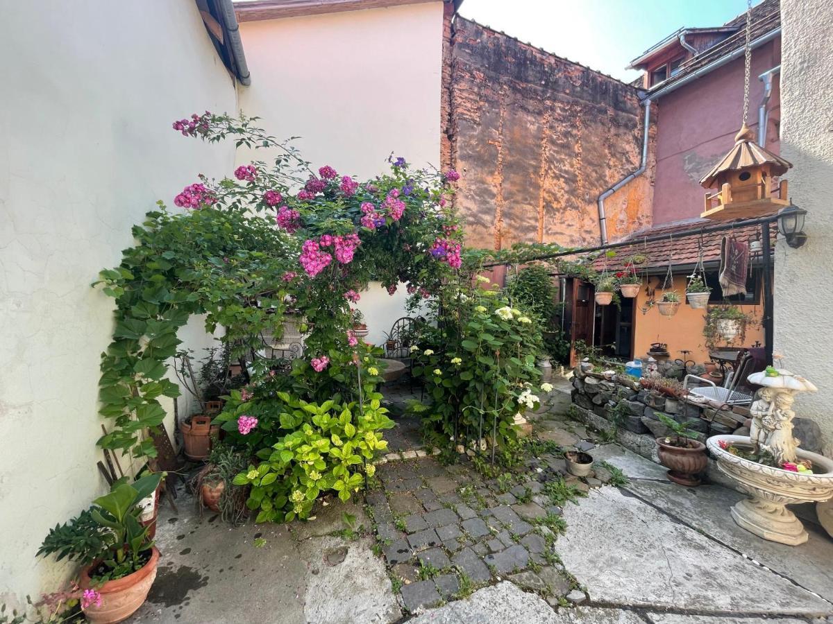 Casa Morar Apartamento Sighişoara Exterior foto